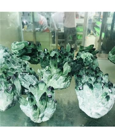 for 350-1100g Natural Green Ghost Phantom Quartz Crystal Cluster Rock Stones and Crystals Specimen Home Decor Crystal Cluster (Size : 320-400g) - Buy Online on GoSupps.com