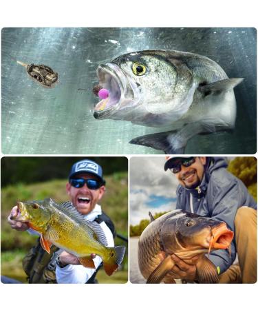 Flat Method Feeder Set - 5PC Inline Fishing Accessories with Bait Box | 20g 30g 40g 50g 60g Carp Feeder for Basic Fishing - Buy Online on GoSupps.com