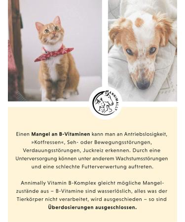 Premium Vitamin B Complex for Dogs & Cats - 120 High-Dose Tablets for 4 Months | Essential B Vitamins & Selenium Supplement - Buy Online on GoSupps.com