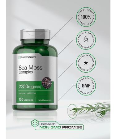 Horb ach Sea Moss Complex Capsules | 2250mg | 120 Count | Complex Formula with Bladderwrack & Burdock Root | Non-GMO & Gluten Free Supplement - Buy Online on GoSupps.com