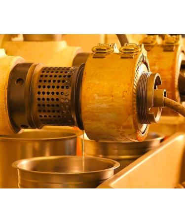  EasyCookAsia Queensbucket Premium South Korean Perila Oil - Healthy & Refined Perilla Oil - Light and Hazelnut - Chef's Favourite is Perfe - Buy Online on GoSupps.com