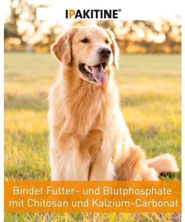 VETOQ-SAC IPAKITINE 300 GR - Buy Online on GoSupps.com