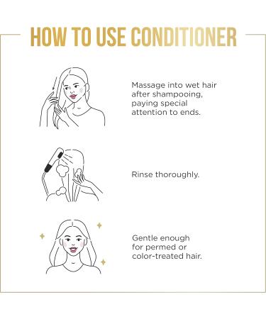 Pantene Sulfate Free Conditioner Detangling Conditioner Removes Hair Build Up and Adds Shine with Rosemary Safe for Color Treated Hair Nutrient Blends 237 mL Rosemary Conditioner - Buy Online on GoSupps.com