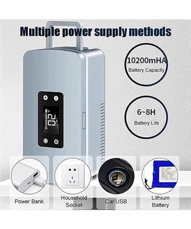 Insulin Cooler Case Mini Medicine Refrigerator Portable Insulin Cooler Travel Case 0-18 Constant Temperature Reefer for Car Travel Home 220V-Battery*2 Battery*2 220V - Buy Online on GoSupps.com