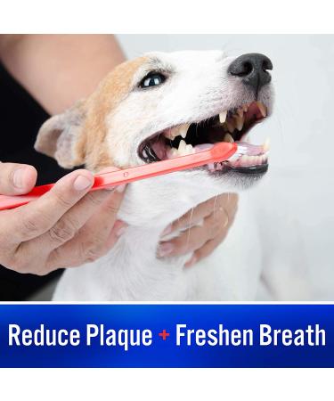 Virbac CET Enzymatic Toothpaste for Pets | Eliminates Bad Breath, Plaque & Tartar | Poultry Flavor Dental Care - Buy Online on GoSupps.com