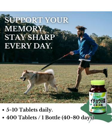 FINE JAPAN Ginkgo Biloba Leaf Extract Tablets/400 Tablets/3 Bottles/with Garlic Extract and B Vitamins for Daily Vitality Support 60g(150mg 400tablets) - Buy Online on GoSupps.com