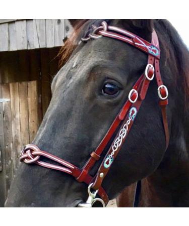 Halter for Horse | Heavy Duty Chin and Throat Snap Halter Horse Comfortable Padded Nylon Horse Halter for Training Equestrian Grooming Lambo Red - Buy Online on GoSupps.com
