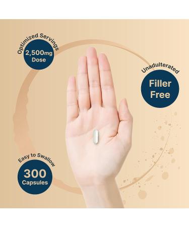 Creatine Monohydrate 2500mg Capsules - 300 Count Micronized | Unflavored Creatine Pills for Pre Workout & Muscle Support | Easily Absorbed & Swallowable (60 Servings) - Buy Online on GoSupps.com