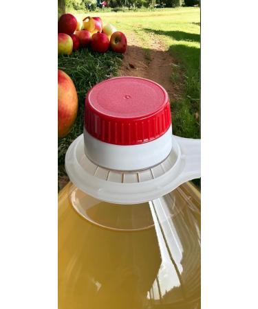 ACETUM DE MODENA Apple cider vinegar environmentally friendly without preservatives or preservatives Bio unfiltered and unpasteurized 2L 2 bottles 1 l The best for your health - Buy Online on GoSupps.com