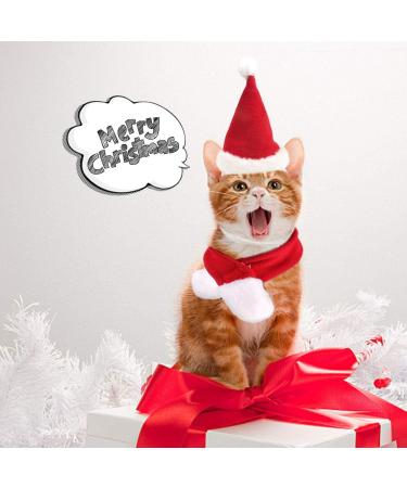 Petleso Christmas Dog & Cat Costume | Adorable Holiday Outfits for Small Pets - Buy Online on GoSupps.com