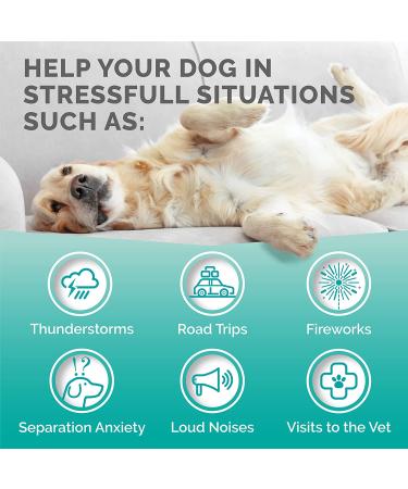 Premium Care Hemp Calming Chews for Dogs | Made in USA | 120 Count Duck Flavor - Anxiety Relief for Dogs, Separation, Barking, Stress, Thunderstorms | 9.3 oz - Buy Online on GoSupps.com
