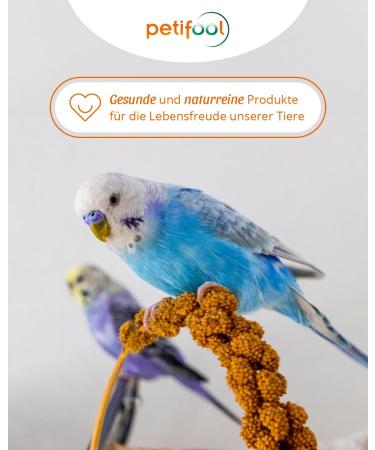 Petifool Red Millet 500g - Premium 100% Natural Bird Food for All Ornamental Birds - Single Feed - Buy Online on GoSupps.com