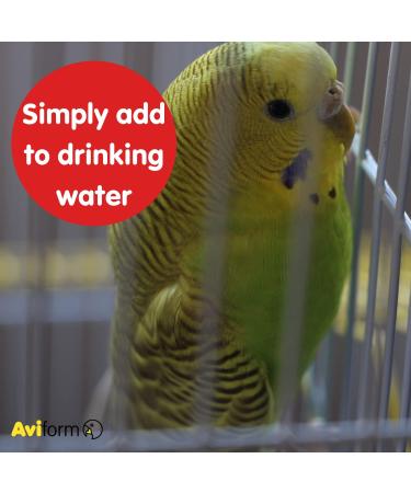 AVI-MITE Red Mite Liquid for Cage & Aviary Birds - Simply add to drinking water (50ml) - Buy Online on GoSupps.com
