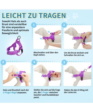 Eyein No-Pull Dog Harness & Leash Set - Soft Padded Reflective Adjustable for Puppies & Small Dogs (Purple Size S) - International Shipping Available - Buy Online on GoSupps.com