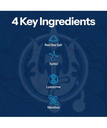 H2Ocean Healing Rinse Natural Sea Salt - Mouth Rinse for Oral Care & Tonsil Stones - Great for Piercings Sore Throats & Gum Health - Alcohol- & Fluoride-Free Mouthwash - Lemon Ice 16 oz (Pack of 2) - Buy Online on GoSupps.com