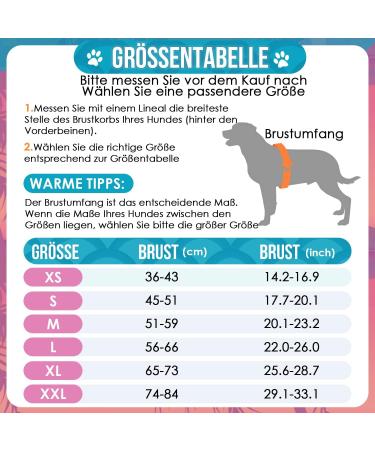 Shop Eyin Shark Shape Dog Swimming Vest | XL Blue - Strong Buoyancy & Adjustable Size for Safe Swimming & Boating - Buy Online on GoSupps.com