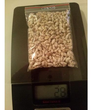 Portal Cool 28gr / 1 (Oz) Pulsante Bianco di Funghi micelio Spawn per la coltivazione su cartone - Buy Online on GoSupps.com