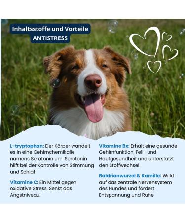 Buy Itiko Vitamins for Dogs | Delicious Calming Supplement | Seastant for Nervous System Improvement | L-Tryptophan 150mg - Buy Online on GoSupps.com