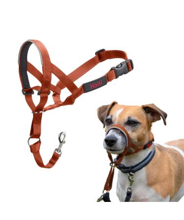 Halti head harness-prevents your dog from pulling on a leash simple adaptation light with a padded nose strap anti-train neck band for small dogs (size 1 dark orange) dark orange 1