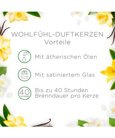 Shop Air Wick XL WohlleVentuftkerze - Sweet Vanilla Magic | 40 Hour Burn | Natural Essential Oils | 220g Fragrance Candle - International Shipping Available - Buy Online on GoSupps.com