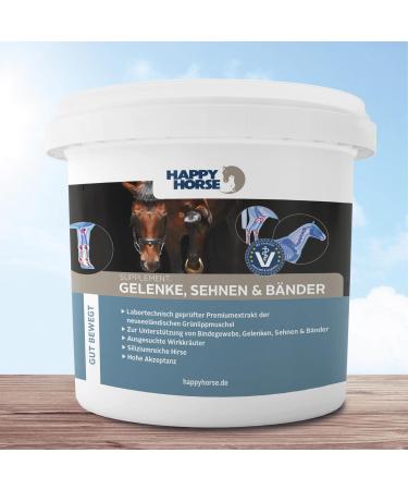 Joint & Tendon Ligaments Support | Natural Musculoskeletal Health | Prevent Joint Issues & Enhance Cartilage - Buy Online on GoSupps.com