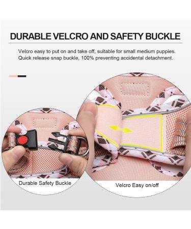 Doramio Step-In Dog Harness for Small Dogs & Cats - Reflective Breathable Safety with Leash - Anti-Training Harness in Champagne (M) - Buy Online on GoSupps.com