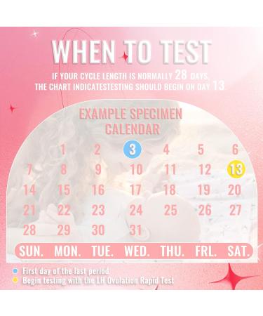 ACCUBIO Combo Kit: 50 Ovulation + 20 Pregnancy Test Strips | Over 99% Accuracy | LH and HCG Predictor Kit with Free Urine Cups - Buy Online on GoSupps.com