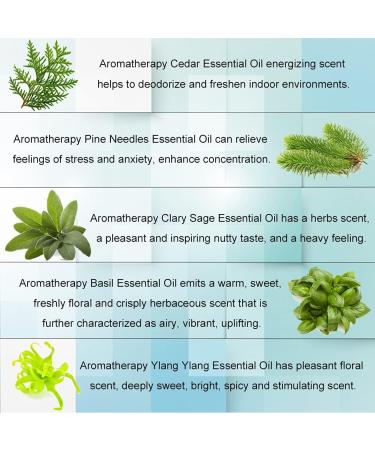 Aromatherapy Cedar Essential Oil Set for Diffuser 100% Pure Ylang Ylang Essential Oil Kit for Humidifier 5x10ml Therapeutic Grade Basil Oil Set-Clary Sage Ylang Ylang Basil Pine Needles Cedar Oils - Buy Online on GoSupps.com
