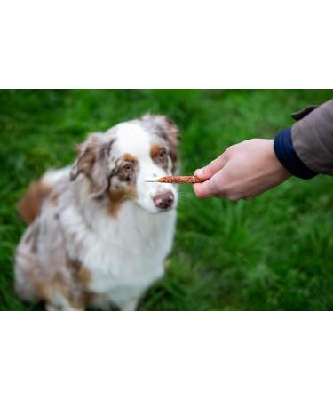Pets Unlimited Chew Sticks with Beef - Small 8 Pieces (Pack of 2) | Premium Dog Treats for Healthy Chewing - International Shipping Available - Buy Online on GoSupps.com