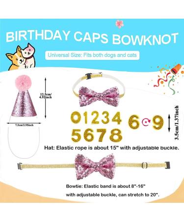 Dog Birthday Hat Dog Party Hat Kit with Bow Tie Collar and Blue Number for Pet Puppy Cat Birthday Decorations Pet Costumes Headwear Accessories 3 Pcs (Pink) - Buy Online on GoSupps.com