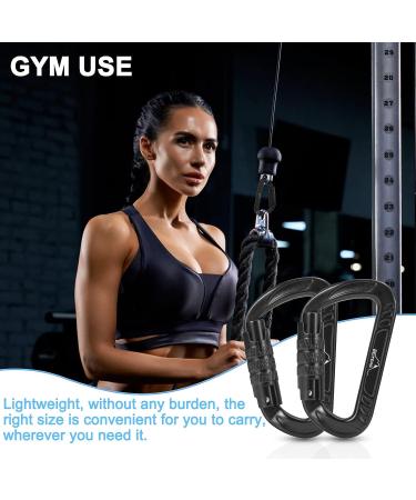 BEIFENG Heavy Duty Locking Carabiner Clips - 4 Pack, Black - for Camping, Hiking, Outdoor, Gym - Small Carabiners for Dog Leash & Harness - Auto Locking - Buy Online on GoSupps.com
