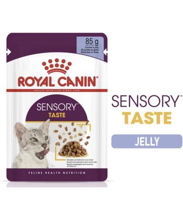 Royal Canin Sensory Taste In Jelly Wet Cat Food 12x85g - Buy Online on GoSupps.com