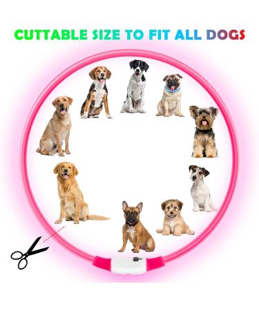 Auauy LED Light Neck Band for Dogs & Cats - Waterproof USB Charging Adjustable & Luminous Pet Safety Collar (Pink) - Buy Online on GoSupps.com