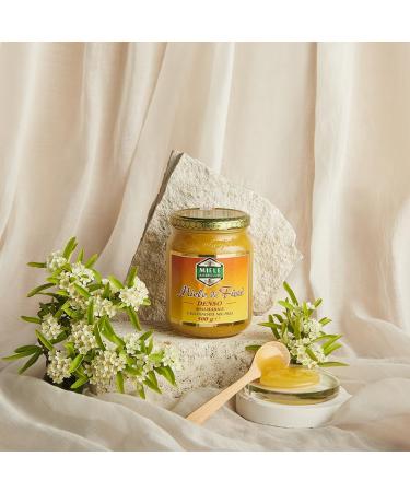 Ambrosoli Dense Flower Honey Spalmabile Honey de fleur dense Honey 500 g Glass - Buy Online on GoSupps.com