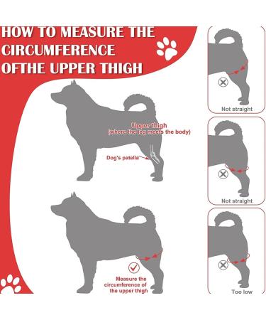 Dog Elbow Brace Dog Compression Knee Brace Elbow and Shoulder Support Dysplasia Arthritis Elbow Calluses Pressure Sores Dislocated Shoulder(S) - Buy Online on GoSupps.com