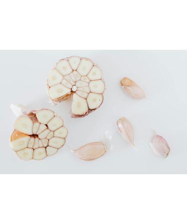 Granulated garlic 500 g - LA PLANTIGO - Buy Online on GoSupps.com