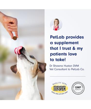 PetLab Co. Allergy & Immune Daily Probiotics for Dogs - 30 Chews | Supports Yeast Allergies Itchiness & Gut Health - Buy Online on GoSupps.com