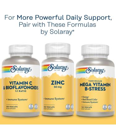 Solaray Calcium Magnesium Citrate 2:1 Ratio with Vitamin D2 - Bone, Muscle & Nerve Support - 360 VegCaps - Buy Online on GoSupps.com