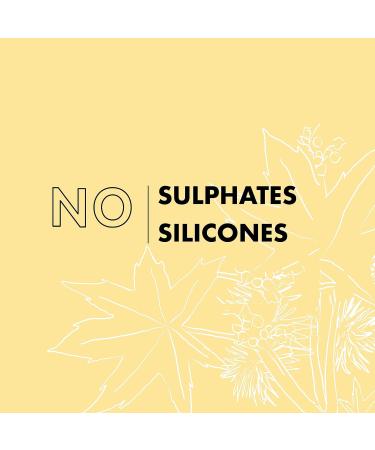 Shea Moisture Jamaican Black Castor Oil Hair Treatment Mask 355ml | Strengthen & Restore | Silicone & Sulphate-Free | For Natural, Chemically Processed, Heat-Styled Hair - Buy Online on GoSupps.com