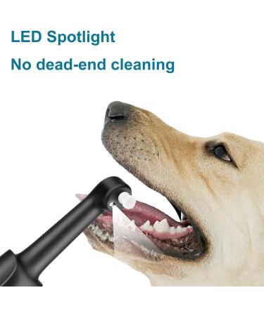 EMOCCI PRO Teeth Whitening Kit Teeth Remover Teeth Cleaning Kit Tartar Stain Remover Teeth Polishing after cleaning teeth to reduce plaque deposits - Buy Online on GoSupps.com