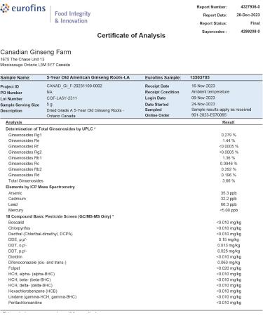 Vigorwell Premium 5-Year Large American Ginseng Slice (80G/2.8OZ X 2 Bottles)-Proudly from Canadian Ginseng Farm - Buy Online on GoSupps.com