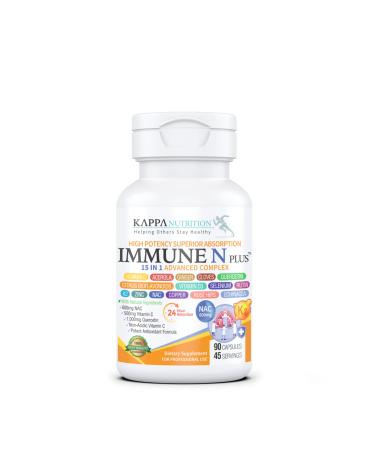(90 Capsules) NAC 600mg Quercetin 1 000mg Vitamin C 500mg Zinc 50mg Vitamin D3 5 000iu Selenium Copper Acerola Ginger Rutin Citrus Bioflavonoids Rose Hips Echinacea Immune N Plus 15 in 1 90 Count (Pack of 1)