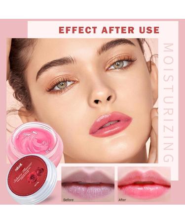 Moisturizing Lip Balm Set Organic Lip Balm Night Lip Care 6 Pieces Natural Care Lip Balm Set Moisturizing Lips with Herbal Ingredients for Work - Buy Online on GoSupps.com