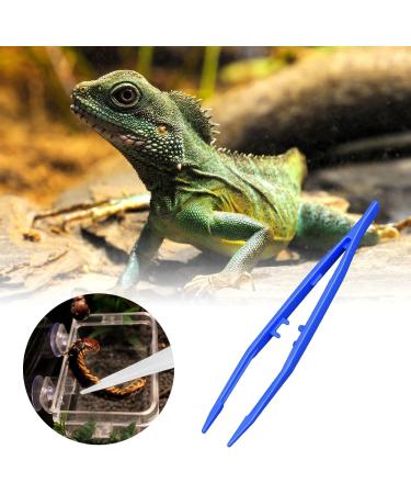 HAICN 3Pcs Reptiles Feeding Tweezers Plastic Anti-Slip Tweezers Reptile Feeding Tongs Feeding Tool for Snakes Lizard Tortoise Gecko (Blue) - Buy Online on GoSupps.com