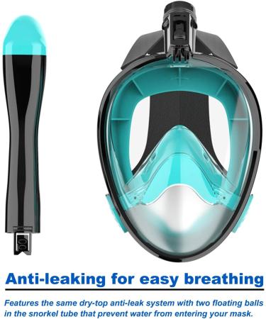 Jwintee Full Face Snorkel Mask | 180 Panoramic View for Kids and Adults | Camera Mount | Anti-Leak & Anti-Fog | Safe Breathing | Green/Black Medium - Buy Online on GoSupps.com
