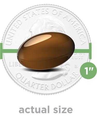 PreserVision AREDS Lutein Eye Vitamin & Mineral Supplement Beta-Carotene Free Soft Gels 120 ct (Pack of 2) - Buy Online on GoSupps.com