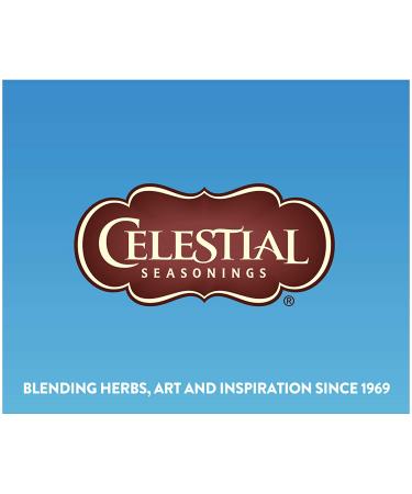 Celestial Seasonings Cold Brew Iced Tea with Lemon - Sweetened Tea Bags (18 Count, 1.3 oz) - Buy Online on GoSupps.com