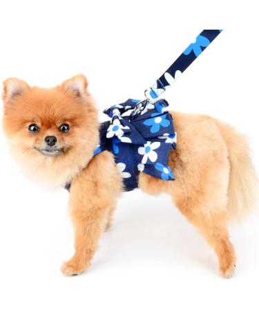 Paidful Dog Harness Dress for Small Dogs & Cats | Colorful Flower Tutu & Leash | Breathable Pet Clothing for Mini Puppies Chihuahuas & Yorkies | Spring Blue Size L - Buy Online on GoSupps.com