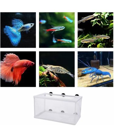 Large Fish Breeder Net with Suction Cups - Nylon Mesh Hatchery Isolation Box for Aquarium Tank - Buy Online on GoSupps.com