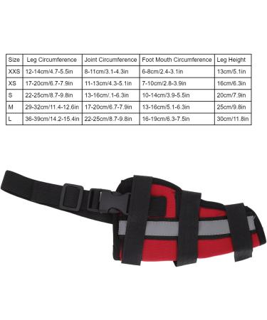 Dog Knee Brace for Cruciate Ligament Injury Joint Pain and Muscle Sore with Better Recovery Adjustable Rear Leg Braces (XXS) - Buy Online on GoSupps.com